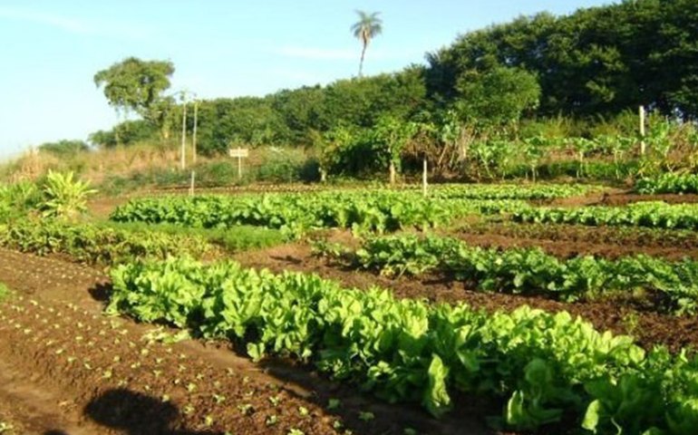APL Móveis de Maceió reúne empresários para palestra de atualização