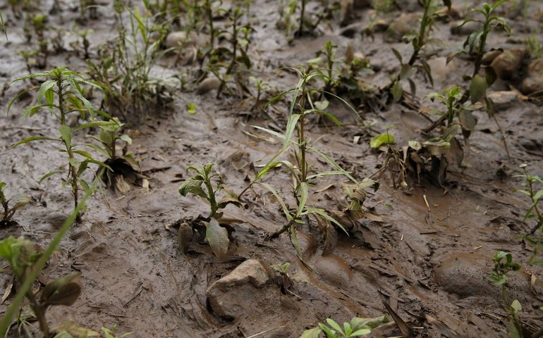 Mariana: vítimas pedem que governo rejeite acordo de mineradoras