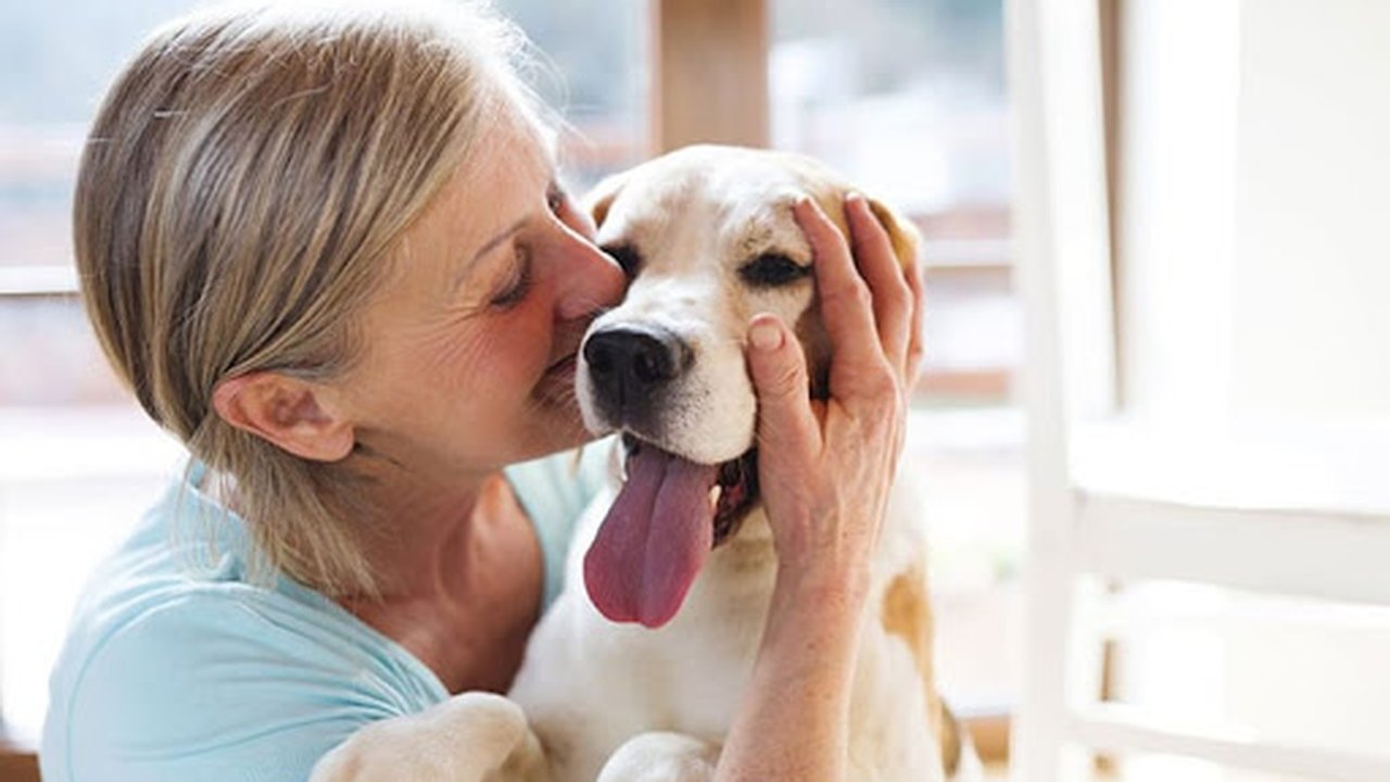 Professora de Medicina Veterinária discute em Live se animais transmitem covid-19