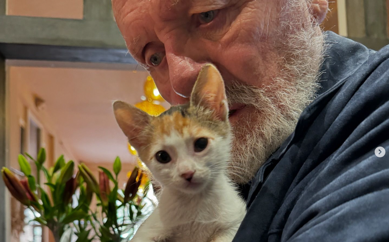 Anthony Hopkins incentiva a adoção no Dia Internacional do Gato