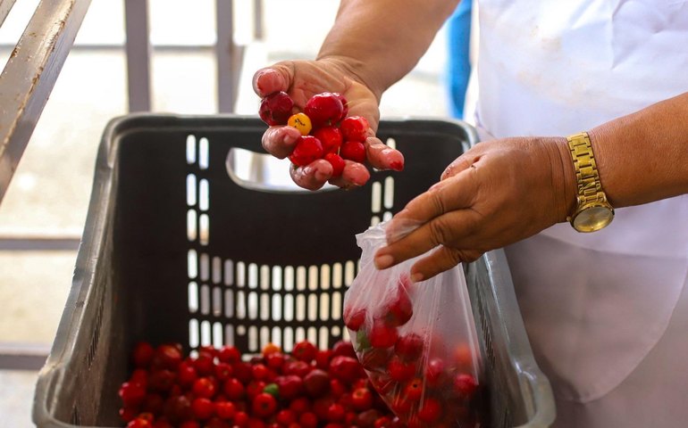 Governo de Alagoas regulamenta Política Estadual da Agroecologia e Produção Orgânica
