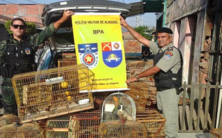 Operação Lei Seca resulta em mais de 700 veículos abordados