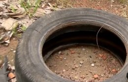 Vacina contra dengue estará disponível para 521 cidades a partir de fevereiro