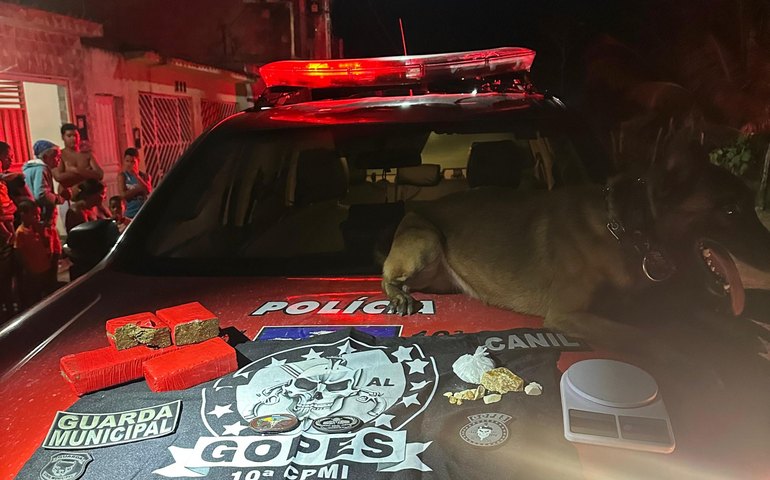 Polícia Militar prende chefe de facção criminosa em Campo Alegre