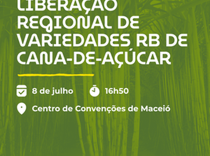 Setor sucroenergético ganha novas variedades de cana com participação da Ufal