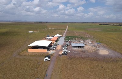 Nelore Santa Catarina inaugura nova sede em Campo Alegre  