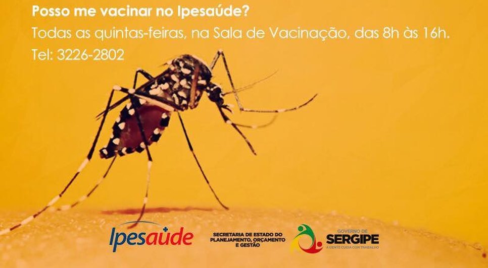 febre amarela