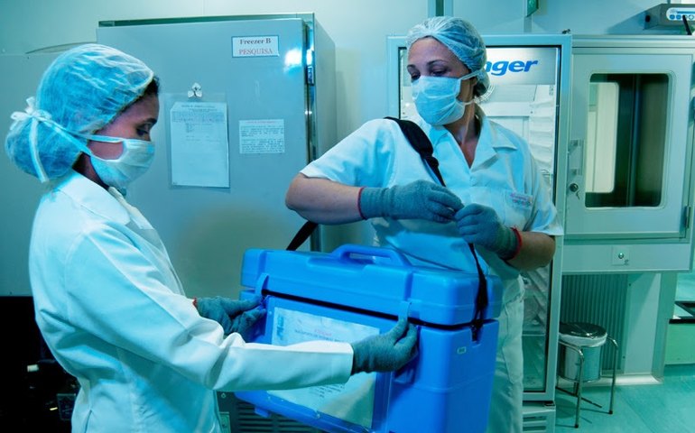 Alagoas realizou 9 transplantes entre janeiro e setembro de 2023