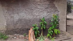 casa idosa invadida