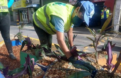 Desenvolvimento Sustentável plantou mais de 2 mil mudas de árvores em espaços públicos