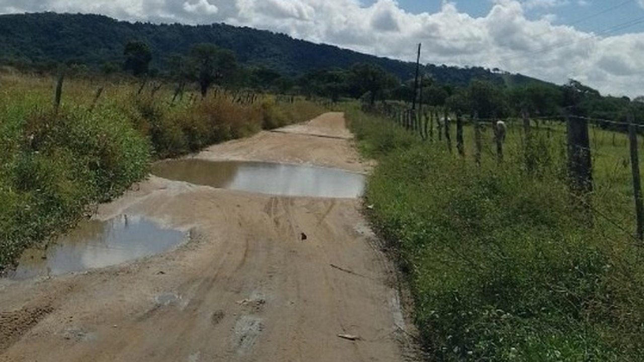 Moradora denuncia estradas intransitáveis e cobra Prefeitura de Palmeira dos Índios: “Será que aqui não mora gente?”
