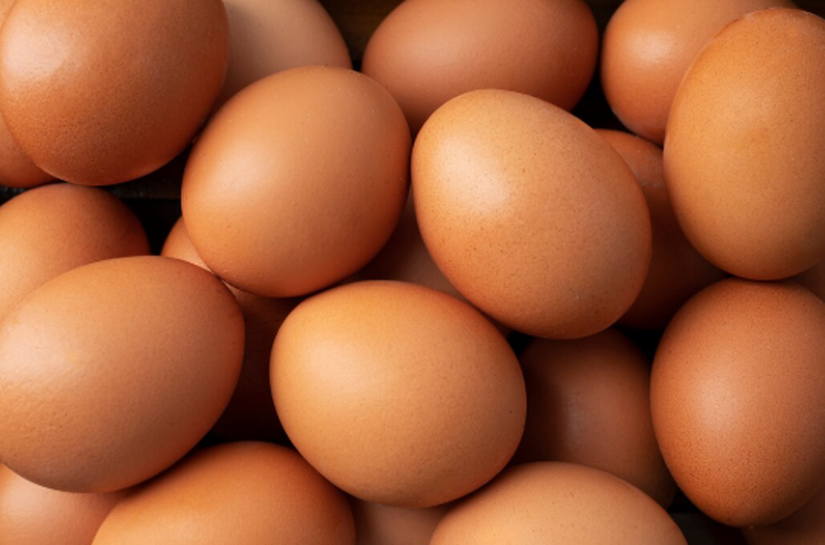 Sem carboidratos: estudo detalha adaptação a dietas ricas em proteínas