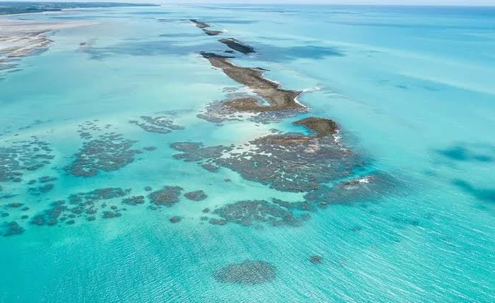 Ampliação da APA Costa dos Corais é um passo relevante para a preservação do ecossistema Ampliação da APA Costa dos Corais é um passo relevante para a preservação do ecossistema