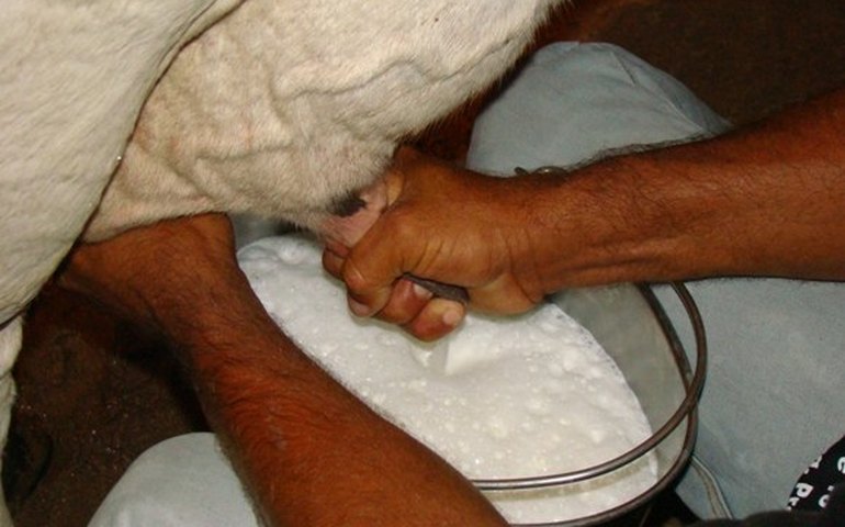 Governo anuncia instalação de 60 câmeras de videomonitoramento em Arapiraca