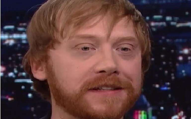 Rupert Grint, o Ron Weasley de 'Harry Potter', enfrenta problemas com morcegos para construir ecovila; veja fotos
