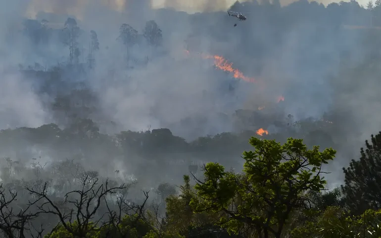 Santa Catarina também registra fenômeno da 'chuva preta', com fuligem das queimadas