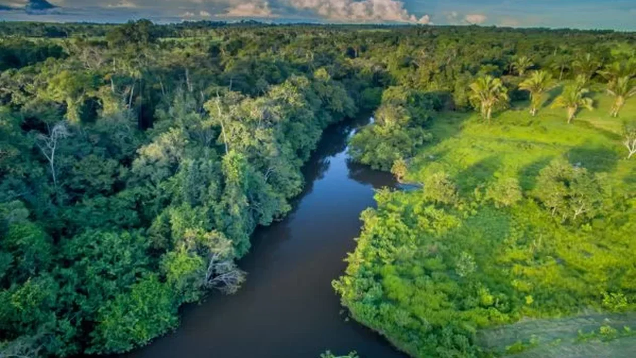 Líderes da Amazônia acertam Declaração de Belém com diretrizes para preservação da floresta
