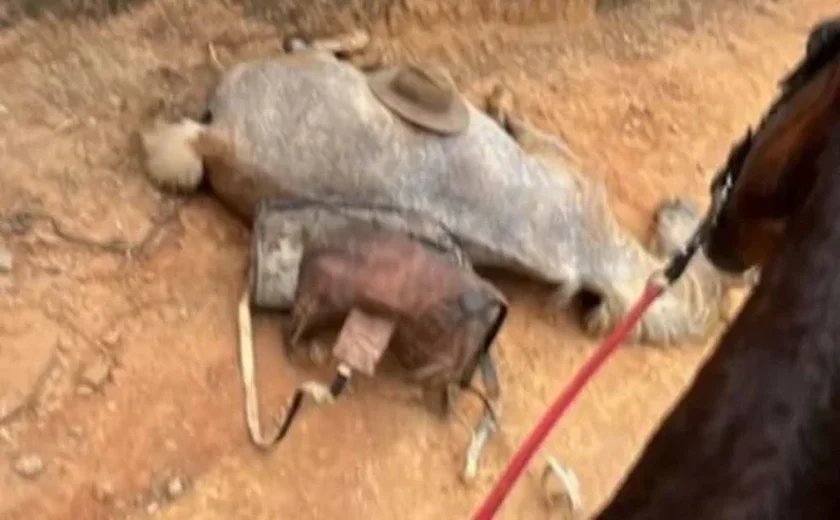 Veterinários investigam se cavalo estava vivo ou morto quando teve patas decepadas