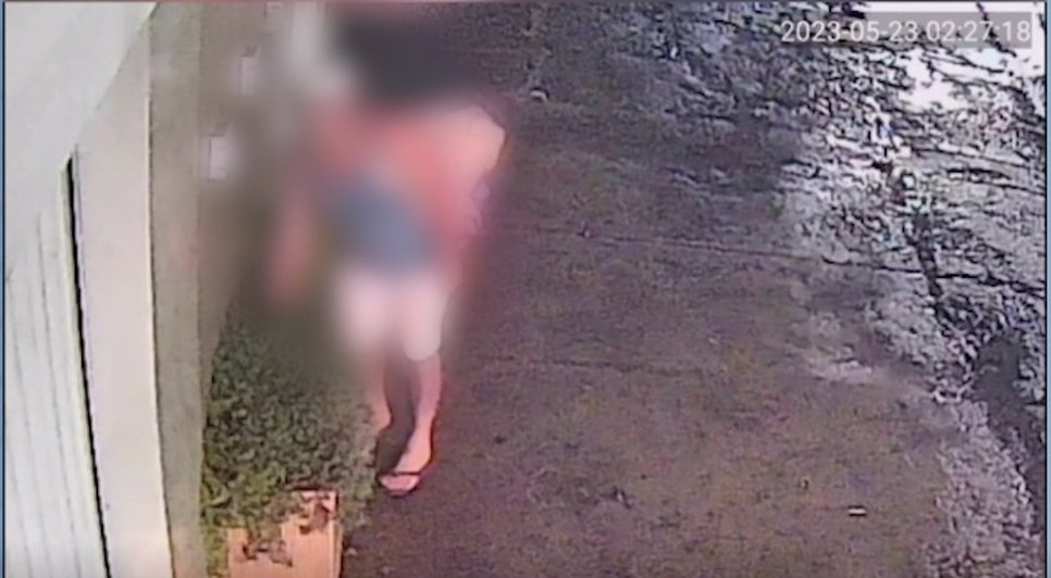 Mulher é flagrada roubando planta em residência na Zona Oeste de Aracaju / Foto: Foto: Tv Atalaia/ Arquivo