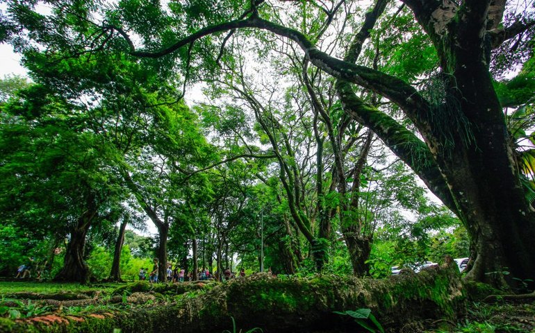 Parques de Maceió voltam a funcionar durante os fins de semana