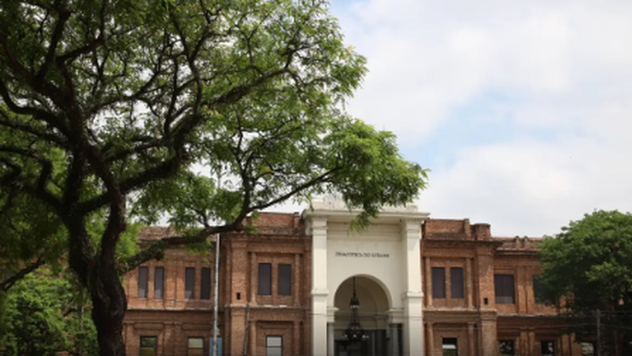 Programação celebra aniversários do Parque da Luz e Pinacoteca em SP
