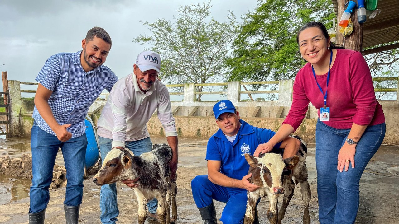  Melhoramento genético: Seagri e Conafer realizaram mais de 280 protocolos de inseminação em bovinos 