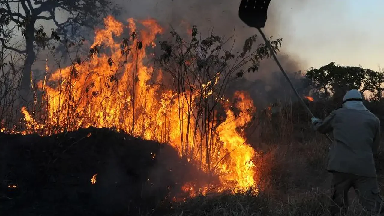 Incêndio florestal forma 'corredor de fogo' em rodovia no Pantanal; vídeo