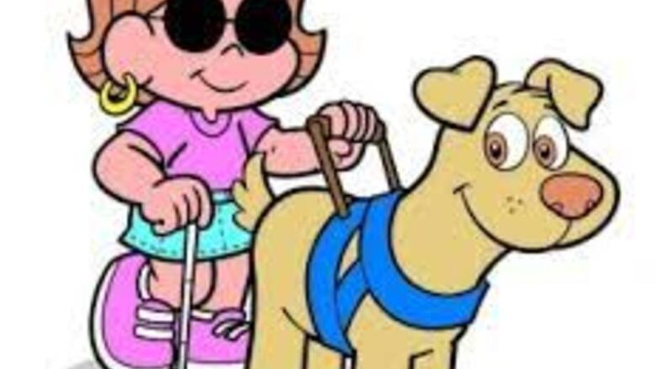 Mauricio de Sousa lança coleção em braile de livros da menina cega Dorinha
