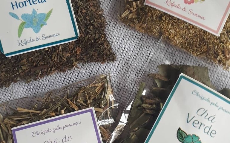 Qual o melhor chá verde de saquinho?