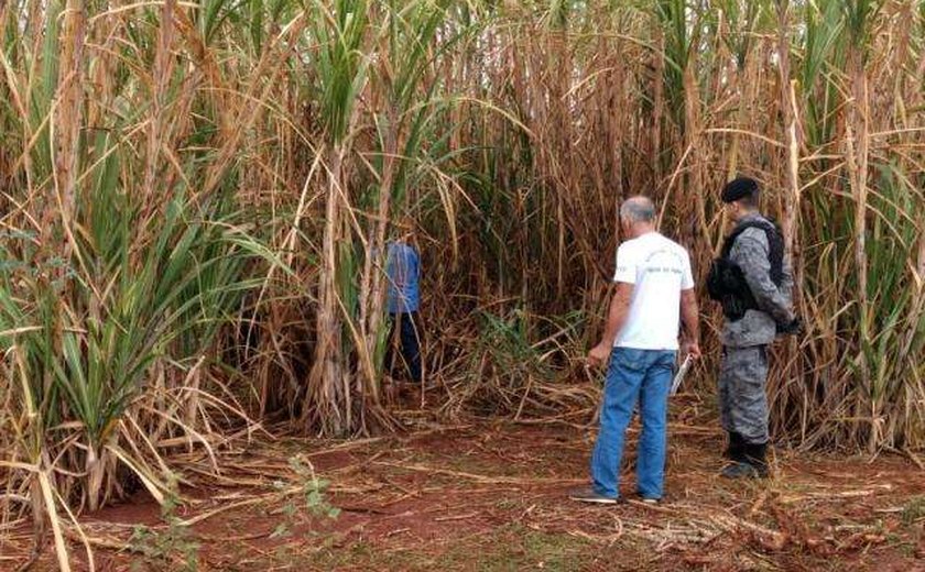 Ativista de direitos das mulheres é encontrada morta em canavial de El Salvador