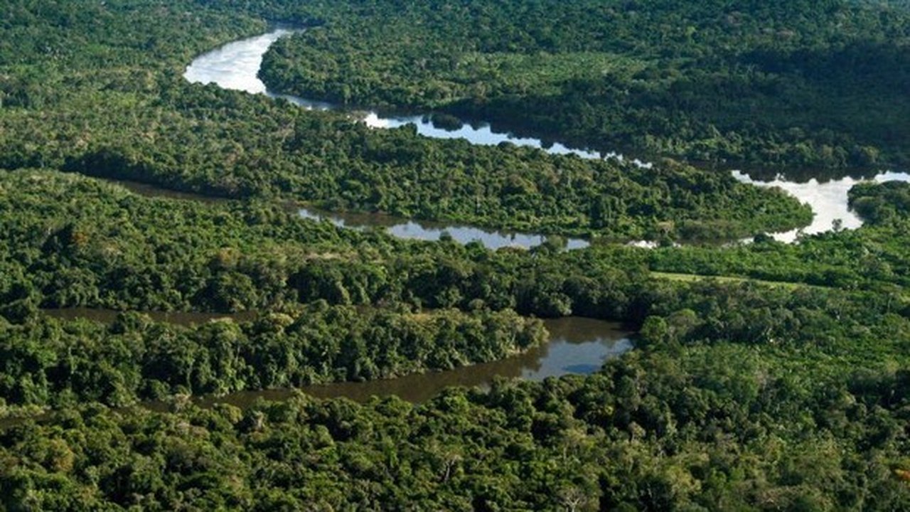 Ex-potência climática, Brasil se afasta cada vez mais de metas do Acordo de Paris