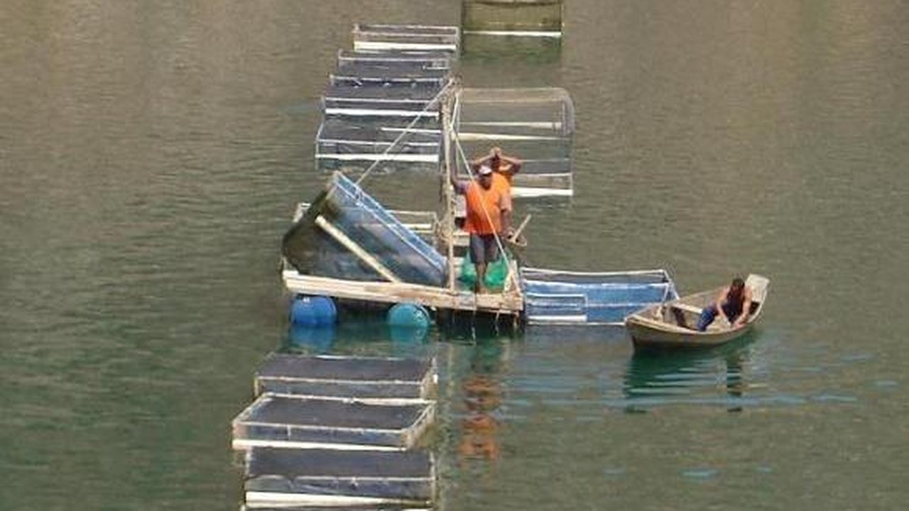 Piscicultura de Alagoas é destaque em Feira Pernambucana