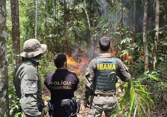 Equipe do Ibama é atacada ao fiscalizar garimpo ilegal no Pará
