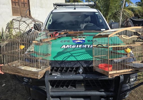 Polícia apreende armas e resgata aves silvestres em ação na zona rural de Piaçabuçu