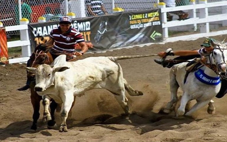 Sancionada lei que torna vaquejada patrimônio cultural em Alagoas