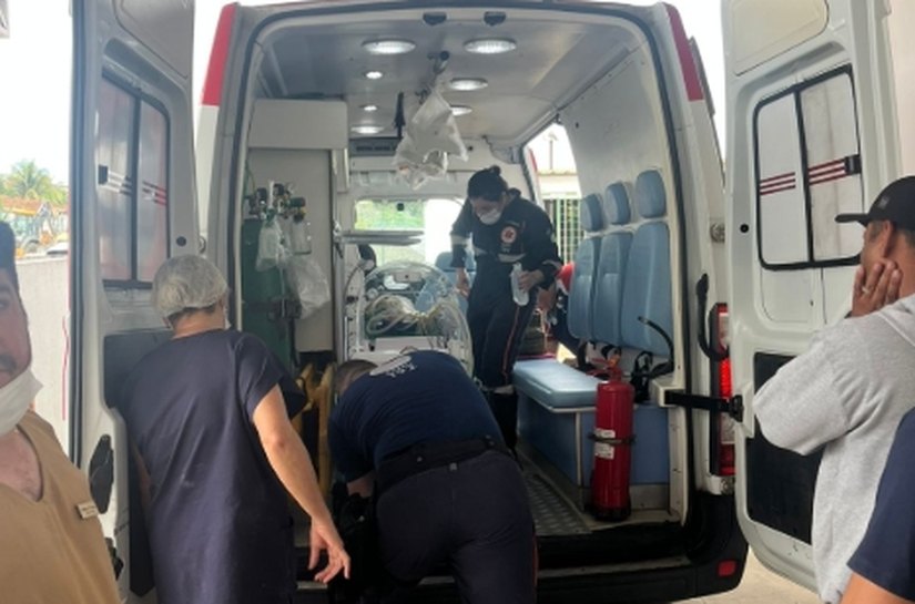 UPA de Palmeira é parabenizada por conduta e assistência a bebê de 2 meses