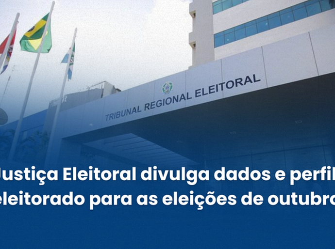 Justiça Eleitoral divulga dados e perfil do eleitorado para as eleições de outubro