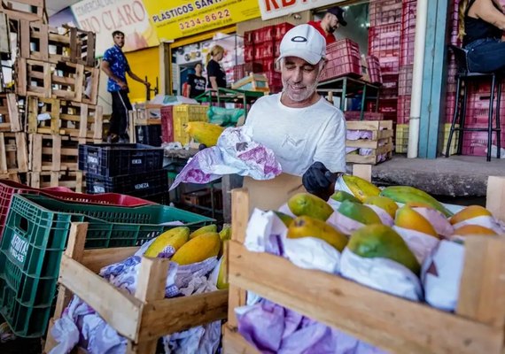 Boletim da Conab indica ﻿queda nos preços no mercado hortigranjeiro