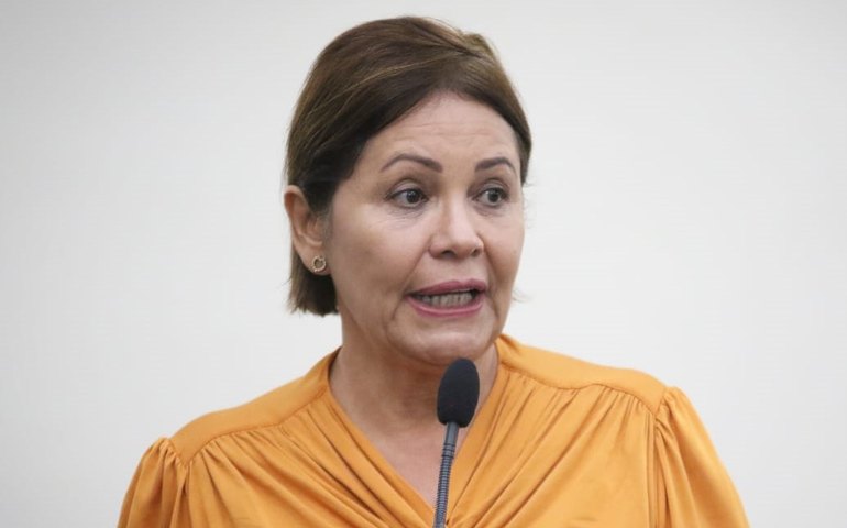 Rose Davino relata audiência que discutiu oferta de serviços de saúde para crianças com TEA