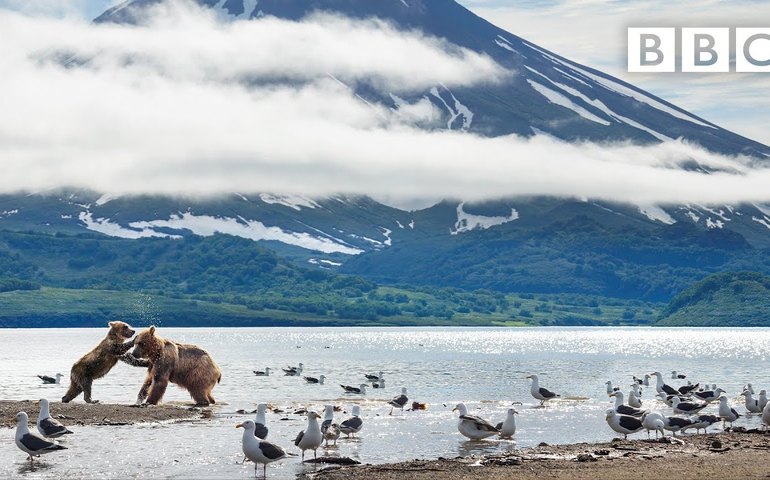 Filmada em 31 países, série ‘A Perfect Planet’ se inspira na natureza