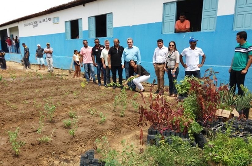 Horta de plantas medicinas é implantada em escola de São Braz