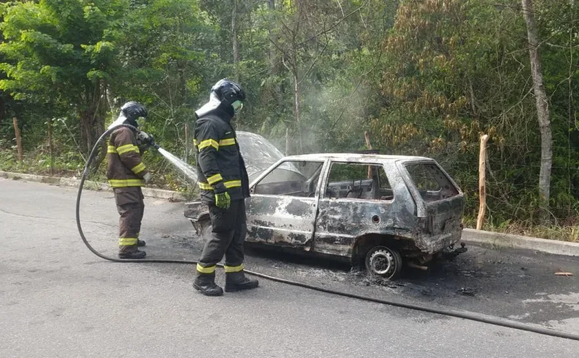 Carro é destruído por incêndio na BR-104 em Messias