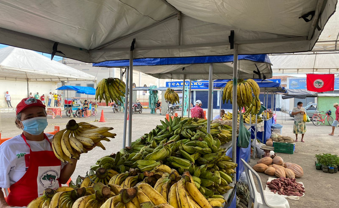 As barracas que já iniciaram a comercialização dos alimentos produzidos pelos camponeses e camponesas