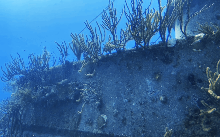 Cientistas conseguiram identificar o 'naufrágio mais rico da história' usando moedas (FOTOS)