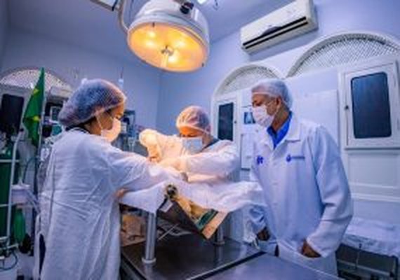 Programa de castração pet de Arapiraca se torna o maior do tipo em Alagoas