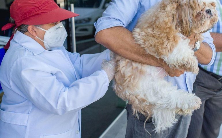 Prefeitura de Maceió inicia vacinação antirrábica no sábado (11)