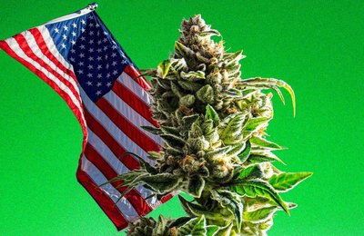 A legalização dos derivados da maconha nos EUA: ponderações sobre recreação e riscos à saúde