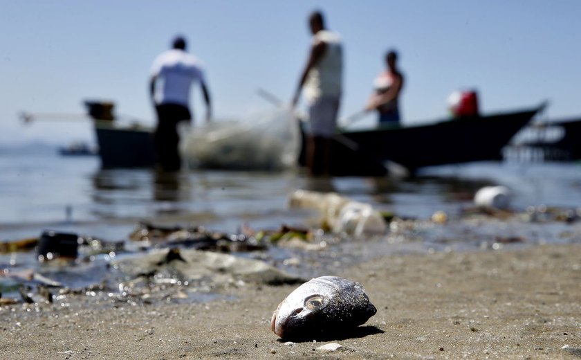 Mais de 12 mil licenças de pescadores profissionais são suspensas