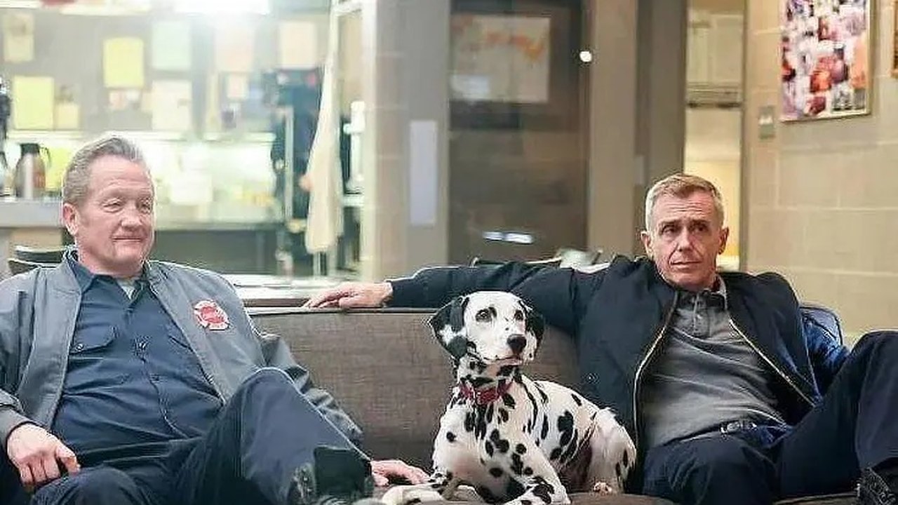 Cadela dálmata de ‘Chicago Fire’ morre dias antes do fim da série