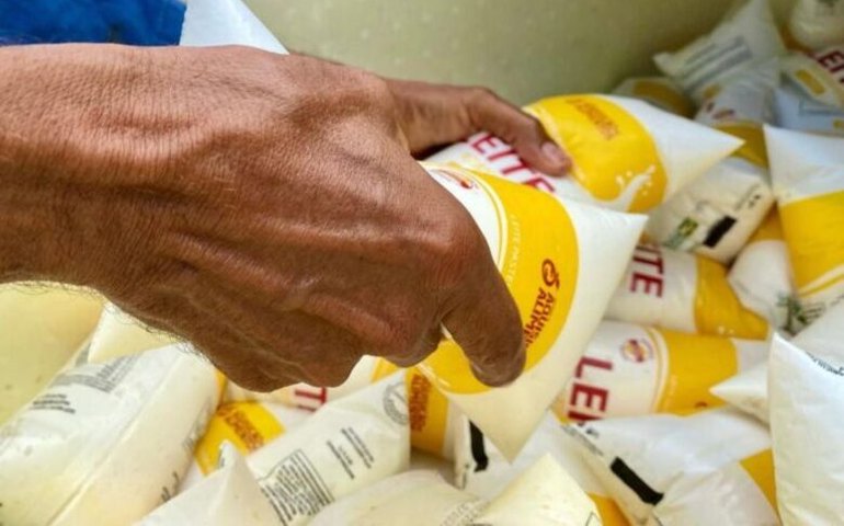 Recadastramento do Programa do Leite em Penedo começa em 14 de março